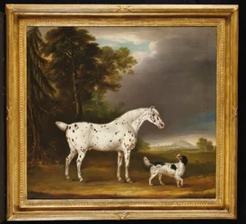 アパルーサ馬とスパニエル、1807年