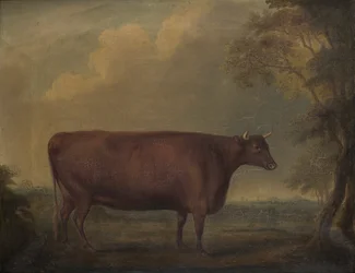 風景の中の赤いデボン雌牛、1812年頃（キャンバスに油彩）
