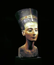 ネフェルティティ（紀元前1370年頃～紀元前1330年頃）の胸像 エジプトのファラオ、アクエンアテンの偉大な王妃（主席妃）。ネフェルティティと彼女の夫は、宗教革命を起こしたことで知られています。彼らは、太陽の円盤であるアテンという唯一の神を崇拝するようになりました。