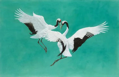 Arches 300gsm紙のダンスグリーン、水彩、ガッシュ、104.1 x 160 cm