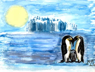 皇帝ペンギンの家族