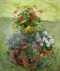 Shaded Pots（油彩・キャンバス