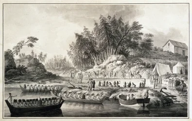 アレハンドロ・マラスピナ、イタリア系スペインの航海士、探検家（エングレーヴィング）