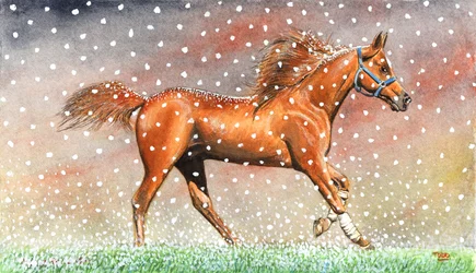 クリスマス・スノー