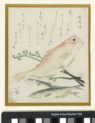 三魚とワラビ