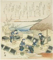浜川 「江ノ島紀行」シリーズより