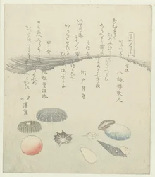 赤と青の丸い貝殻と小さい貝殻 一連のシェル (シリーズ タイトル) かいつくし