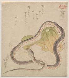 瓢箪に絡んだ蛇
