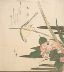 ウグイスとツバキ 1815-20年頃