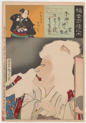 岡崎の猫（岡崎猫）