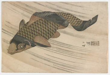 コイスイミングアップストリーム、江戸時代、1820年代半ば（色木版画）
