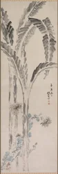 バナナと菊