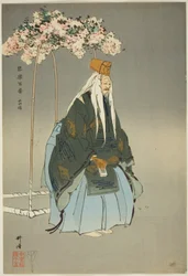 西行桜（「野菊百番」シリーズより）