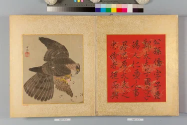 鷹と書のアルバム