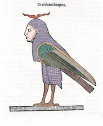 Ornithantropos。人間の頭を持つ鳥。ウリッセ・アルドロヴァンディ "De monstrorum Historia" ボローニャ 1642年