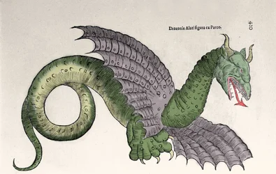 Ambroise Pare (1509-1590)の著書 "Monsters and wonders "での表現。ウリッセ・アルドロヴァンディ（1522-1605）による表現、"Monstrorum Historiae"、ボローニャ 1642年