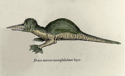 海竜を表現したもの。ウリッセ・アルドロヴァンディ（1522-1605）の博物誌原稿のモンスターのプレート