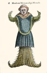ウリッセ・アルドロヴァンディ（1522-1605）の「海の僧侶、空想の魚、海の怪物」、「Monstrorum Historiae」、ボローニャ 1642年