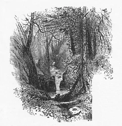 湖への餌箱、1883年