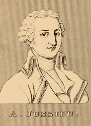 A.ジュシュー、1748〜1836年、1830年。