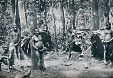 ピグミービレッジ、北東コンゴ盆地、1912