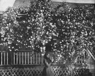 ローズデッキの家、南カリフォルニア、アメリカ、c1900。
