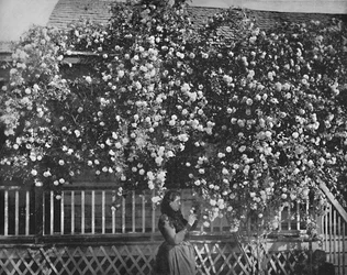 ローズデッキの家、南カリフォルニア、c1897。