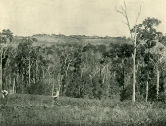 ビクトリア朝の山の農場、1901年。