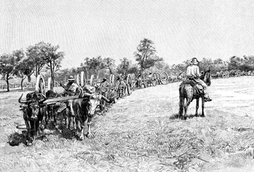 ワゴンの船団、南アメリカ、1895