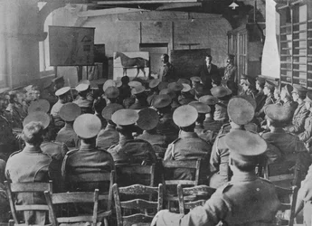 1915年の馬の解剖学に関する講義
