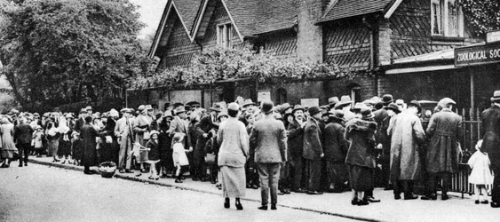 国民の祝日に動物園へ並ぶ人々、ロンドン、1926-1927年
