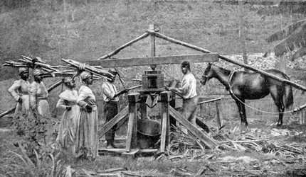 木製の馬力サトウキビ粉砕機、西インド諸島、1922年