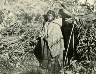 子供を持つ先住民の女性、1901年。