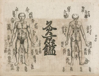 Acupuncture Carte du corps humain indiquant les points de moxibustion (Moxabustion diagram showing where singeing should be avoided)