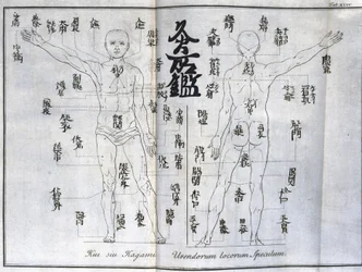 鍼灸：灸点を示す人体図、日本（灸に関する図、1690年頃）