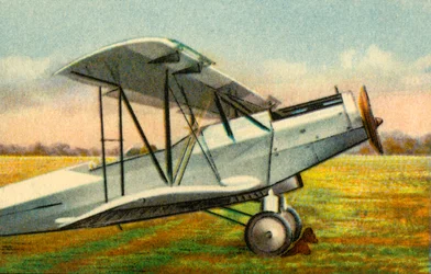 アルバトロスL 75a尻面、1920年代、1932年。