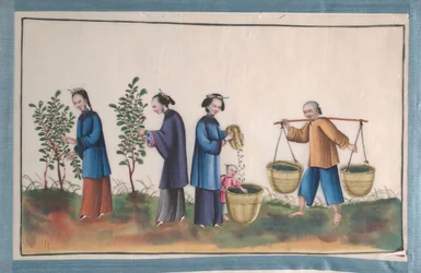 シルクを作る人々の12の絵を含むアルバム、19世紀。
