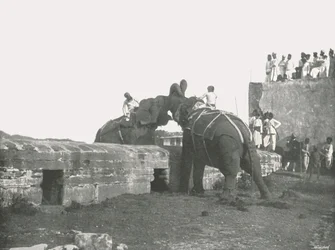 象の戦い、ハイデラバード、インド、1895年。
