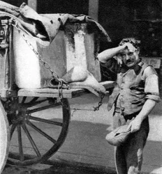 カートを持った氷の男、ロンドン、1926-1927