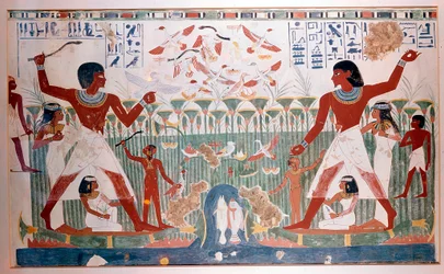 古代エジプト人が棒を投げて野鳥を狩る