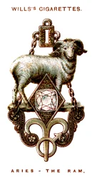 牡羊座、ラム、1923