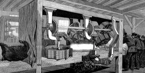 アーマーカンパニーズの豚食肉処理場、米国イリノイ州シカゴ、1892年