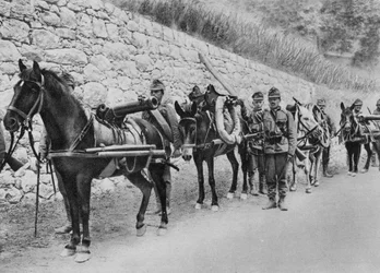 オーストリア兵、オーストリア-イタリア戦争、イゾンツォの戦い、第一次世界大戦、1915