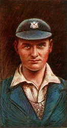 B.リリーノッツ、1928年。