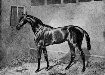 ビーズマン、1855-1872、1911