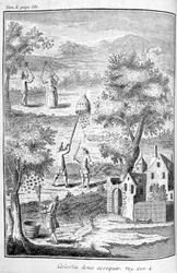 養蜂、1775