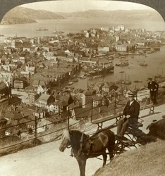 Floifjeldの西側、港の右側とノルウェーのc1905にあるPuddefjordの向こう側のベルゲン。