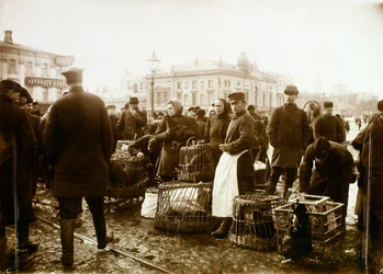 鳥の市場、トルブナヤ広場、モスクワ、ロシア、1908