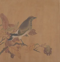 ブランチ上の鳥。