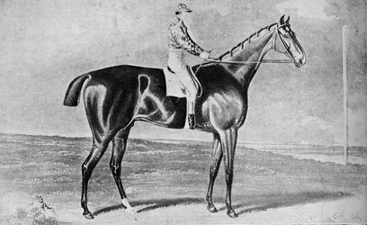 ブラックロック、1814-1831、1911